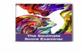 The Soulmate · corresponding tarot card to measure the strength of your connection on all 5 levels: M entally, Emotionally, Sexually, Physically, Spiritually. ... Love Power Reading,