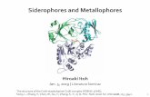 Siderophores and Metallophoresinoue/assets/img/archive-pdf/190105_LS.pdfJan. 5, 2019 | Literature Seminar The structure of the CntA-staphylopine-Co(II) complex (PDB ID: 5YHE): ...