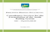 Consultancy Services for the Formulation of the Audit ... · Consultancy Services for the ... When the types and fields of Consulting Services involve the practice of professions