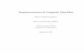 Magnetoresistance in Composite Thin Filmsetheses.whiterose.ac.uk/4773/1/thesis.pdf · Magnetoresistance in Composite Thin Films Magnus Siegfried Rummey Master of Philosophy (MPhil)