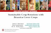 Sustainable Crop Rotations with Brassica Cover Cropsmccc.msu.edu/wp-content/uploads/2016/10/OH_2015... · • Brassicas (radish, kale, rape) grow quickly and recycle nutrients & reduce