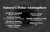 Saturn’s Polar Atmosphere...2. South Polar Region (Ulyana, Kunio and Agustin): South Polar Vortex has already been reviewed in the 2009 book, so the focus here will be to establish