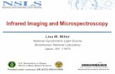 Infrared Imaging and Microspectroscopy · Infrared microspectroscopy and imaging can be used to image the chemical makeup of biological tissues and cells The spatial resolution of