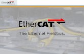 The Ethernet Fieldbus. · 2019-08-30 · • EtherCAT uses Standard Ethernet Frames: IEEE 802.3 • Alternatively via UDP/IP (if IP Routing is needed) • no shortened frames 1…n