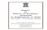 Report on Effect of Economic Slowdown on Employment in Indialabourbureau.gov.in/Fifth_quarter_report_Feb10.pdf · assess the impact of economic slowdown on employment in India. The