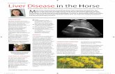 Liver Disease in the Horse - Rossdales Veterinary Surgeons · liver is the powerhouse of the body; in the horse it is the single largest organ, comprising 1% of the horse’s total