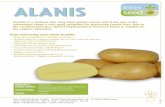 AGR Sortenblatt Interseed Sortenflyer A4 Alanis 2019 engl · 2019-12-10 · ALANIS ALANIS is a medium late, long tuber potato variety which has due to the voluminous shape a very