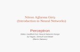 Nöron Ağlarına Giriş (Introduction to Neural Networks)bilgisayar.kocaeli.edu.tr/upload/duyurular/25021909485848a17.pdf · (Introduction to Neural Networks) Perceptron Slides modified