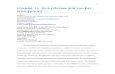 Chapter 11: Arrhythmias and Cardiac Emergencieswfccn.org/wp-content/uploads/2019/02/WFCCN_Chapter_11_Arrhythmias-and-Cardiac...junctional, ventricular arrhythmias and atrio-ventricular