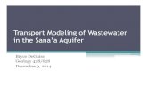 Transport Modeling of Wastewater in the Sana’a Aquifersainieid/geochem/talks/DeGuise-Wastewater-Sanaa-aquifer...Transport Modeling of Wastewater in the Sana’a Aquifer Bryce DeGuise