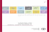 Surveying and monitoring of Animal Genetic Resources ... · guidelines 7 ISSN 1810-0708 FAO ANIMAL PRODUCTION AND HEALTH 7 FAO Surveying and monitoring of animal genetic resources-The