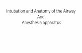 Intubation and Anatomy of the Airway And Anesthesia apparatus · anatomy. **Because no blade is perfect for all situations, the clinician should become familiar and proficient with