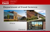Department of Food Science · Graduate Field of Food Science and Technology Concentrations: • General Food Science • Food Chemistry • Food Microbiology • Food Engineering