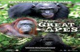 Film Synopsis - nwave.com · Film Synopsis The Great Apes 3D brings us face to face with some of the world’s rarest primates. Featuring chimpanzees, bonobos, orangutans, and the