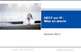 DECT sur IP : Mise en œuvrejocelyn.millet.free.fr/sav/TP_T3_OXO_Aastra_AXS12/... · Version R5.1 – Edition 1 du 15 Janvier 2009 . © 2009 Aastra Communications, Ltd. DECT sur IP