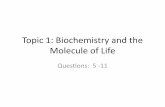 Topic 1: Biochemistry and the Molecule of Life · Polar covalent compounds (like glucose) and ionic compounds (like salt) ... uniquely suited to form macromolecules? A.It forms short,