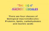 There are four classes of biological …...Nucleic Acids 0 TEST: Are you smart? If you eat a sandwhich with 46 grams of carbs and 24 grams of protein and 10 grams of fat, how much