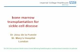 bone marrow transplantation for sickle cell diseaseblf.net/onko/page4/page34/page47/files/BMT for SCD Fuente.pdf · Dr Josu de la Fuente St. Mary’s Hospital London bone marrow transplantation