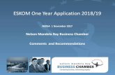 Nelson Mandela Bay Business Chamber Comments and ......Nelson Mandela Bay Business Chamber 3 Largest business association in the Eastern Cape with a membership of around 700 businesses,