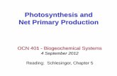 Photosynthesis and Net Primary Production · released by total plant metabolism) Net Primary Production (NPP) = Gross Primary Production (GPP) - Plant Respiration (R p) GPP does not