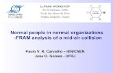 Normal people in normal organizations :FRAM analysis of a ...functionalresonance.com/onewebmedia/FRAM_2008_Carvalho-Gomes.pdf · Normal people in normal organizations :FRAM analysis