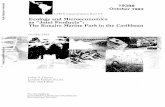 Ecology and Microeconomics as Joint Products: The Bonaire ... · ECOLOGY AND MICROECONOMICS AS "JOINT PRODUCTS": THE BONAIRE MARINE PARK IN THE CARIBBEAN by John A. Dixon, Louise
