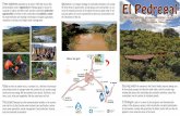 Three objectives Aguaxaca - GlobalGiving · Today we have an adobe house, a bamboo hut, a kitchen of bahareque and multiple works to manage water well, protect the soil, produce orga-nically