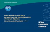 Fish Handling and Data Acquisition on the NOAA FSV Henry B ... · Fish Handling and Data Acquisition on the NOAA FSV Henry B. Bigelow Melanie Underwood, Heath Cook, Jakub Kircun,