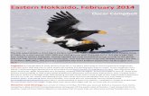 Eastern Hokkaido, February 2014 - SURFBIRDSEastern Hokkaido, February 2014 Oscar Campbell This trip report details a short trip to Eastern Hokkaido, Japan, made in February 2014. Despite