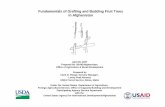 Fundamentals of Grafting and Budding Fruit Trees in ... · Fundamentals of Grafting and Budding Fruit Trees in Afghanistan April 26, 2007 ... •Budding: A type of grafting that consists