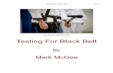 Martial Arts Testing For Black Belt - WordPress.com · curriculum for both the martial and spiritual aspects of Grace Martial Arts. As we read in the Black Belt Study Guide – “Belt