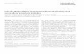 lmmunophenotypic characterization of primary and …digitum.um.es/xmlui/bitstream/10201/17903/1...Histol Histopath (1988) 3: 69-80 Histology and Histopathology lmmunophenotypic characterization