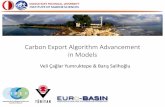 Carbon Export Algorithm Advancement in Modelsold.ims.metu.edu.tr/pdf/2004.pdf · 2015-06-22 · AIM • Achieving advancements in ecosystem model algorithms requires access to the
