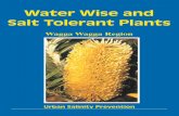 Water Wise and Salt Tolerant Plants - City of Wagga Water Wise and Salt Tolerant Plants Urban Salinity