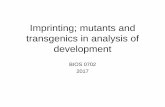 Imprinting; mutants and transgenics in analysis of development · 2019-10-05 · transgenics in analysis of development BIOS 0702 2017. Life starts from one cell If you are a multicellular