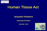 Human Tissue Act - University of Exeter · •The Human Tissue Act (2004) is an Act of Parliament which created the Human Tissue Authority (HTA) to regulate the: •removal •storage