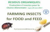 FARMING INSECTS for FOOD and FEED - Emmanuel ADLERexpert-environnement.fr/insectes/Vantomme-FAO.pdf · 2017-06-30 · In 2013 795 million tonnes of cereals (1/3 cereal production)