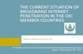 THE CURRENT SITUATION OF BROADBAND …Telecom Advisory Services, LLC THE CURRENT SITUATION OF BROADBAND INTERNET PENETRATION IN THE OIC MEMBER COUNTRIES 9th Meeting Of The Comcec Transport