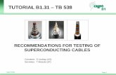 TUTORIAL B1.31 TB 538 - EPRImydocs.epri.com/...SCHMIDT-CIGRE_B1.31_Tutorial.pdf · Prior Cigre TB on Superconducting Cables 1. TB 199, “Superconducting Cables. Impact on Network