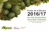 Facts at a Glance 2016/17 - Horticulture Innovation Australia · North Quee vsla vd NQ Cetral Quee vsla vd CQ Sushi ve Coast SC South Quee vsla vd SQ Quee vsla vd & Ne South Wales