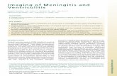 Imaging of Meningitis and Ventriculitis · gold standard to identify the infectious agent, neu- ... In acute meningitis, meningeal enhancement is located over the cerebral convexity,