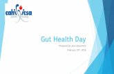 Gut Health Day · 2018-10-22 · AMR a Global Issue ! World Health Assembly resolution May 2014 called for global action to address AMR – Action Plan released May 2015 ! World Organization