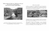Westfield River Watershed Invasive Species Partnership (WISP) … Brochure_electronic... · 2013-06-24 · Westfield River Watershed Invasive Species Partnership (WISP) A partnership