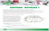 NATURA BETAINE L - d1jiktx90t87hr.cloudfront.net · Natura Betaine L can help reduce the severity of the Coccidiosis infection, especially when combined with coccidiostats. y improving