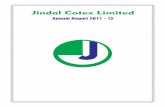 Annual Report 2011 - 12 Report 2011-12.pdf · Jindal Cotex Limited Annual Report 2011 - 12. CONTENTS Board of Directors Management Discussion & Analysis Report Director's Report Corporate