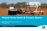 Phased Array Feeds & Primary Beams · 2014-11-03 · Quick History Lesson - Phased Array Antennas •Reflecting antennas give good directional gain, but this can also be achieved