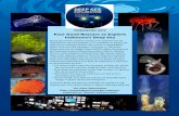 Four Good Reasons to Explore Indonesia’s Deep Sea · Four Good Reasons to Explore Indonesia’s Deep Sea During the summer of 2010, scientists from Indonesia and the ... • Modeling