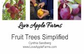 Love Apple Farms - growbetterveggies.com · Love Apple Farms Fruit Trees Simplified Cynthia Sandberg ... Shorter can be better! Easier to do on-going pruning, fruit harvesting, won’t