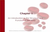 Chapter1 An Introduction to the Structure and Function of ...cf.linnbenton.edu/mathsci/bio/klockj/upload/Chapter_001.pdf · Mosby items and derived items © 2010, 2006, 2002, 1997,