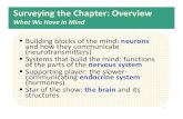 Surveying the Chapter: Overview · Keys that almost fit: Agonistand Antagonist Molecules An antagonist molecule fills the lock so that the neurotransmitter cannot get in and activate
